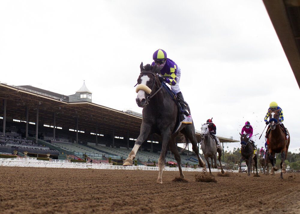 Honor A.P. and jockey Mike Smith win the Santa Anita Derby